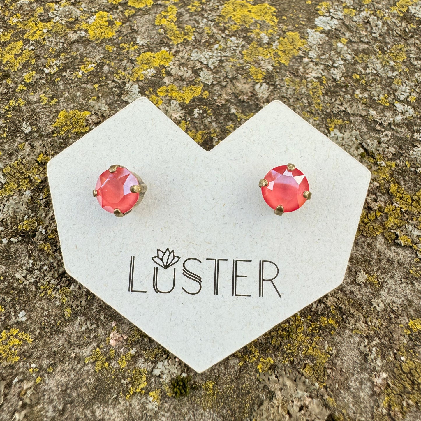 Coral stud earrings on a Luster branded card against a textured stone background