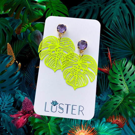 Bright Monstera Leaves