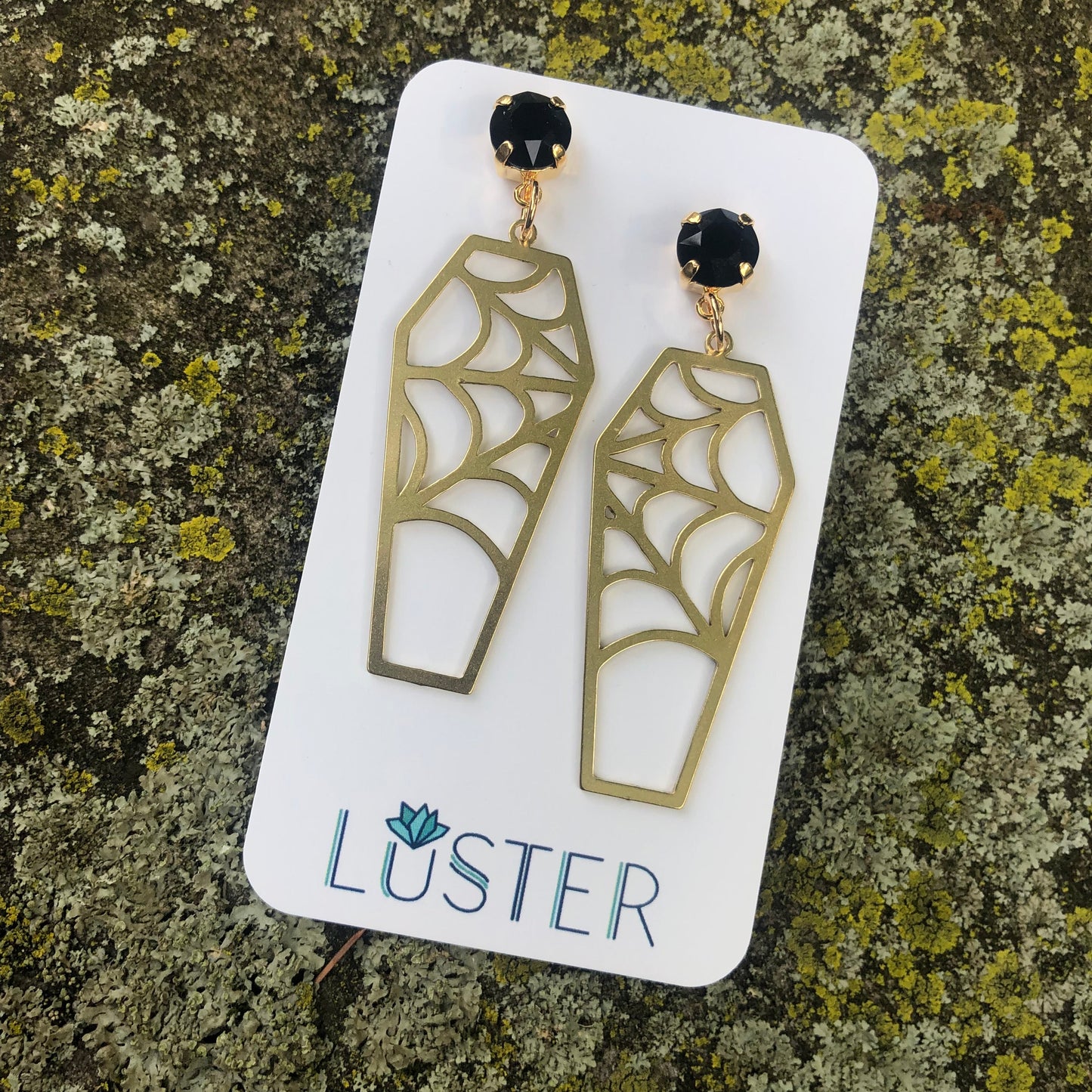 Brass Cobweb Coffin Earrings