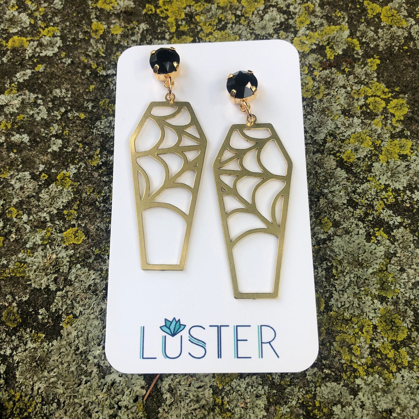 Brass Cobweb Coffin Earrings