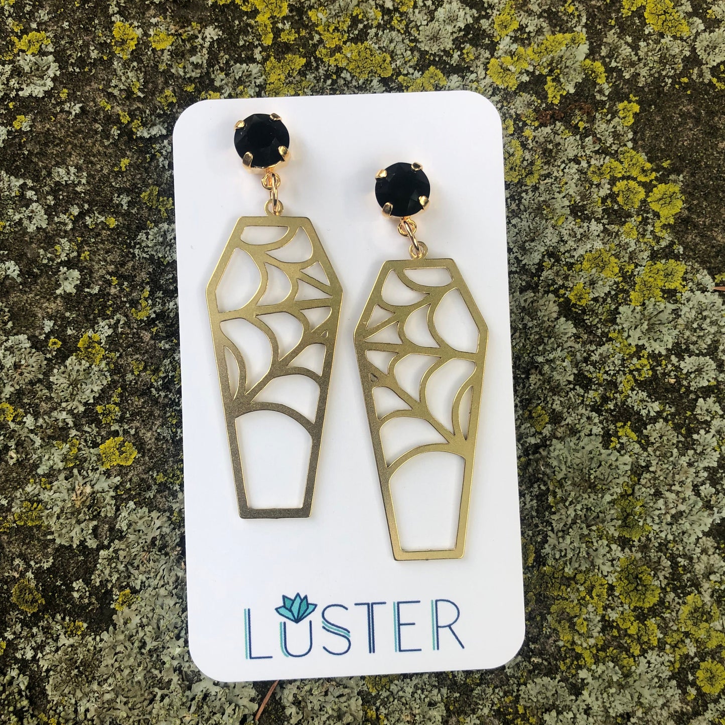 Brass Cobweb Coffin Earrings